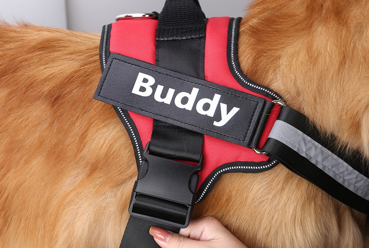 Dog Harnesses for sale